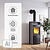 Kaminofen Dublin (6 kW, Raumheizvermögen: 102 m³, Schwarz) | BAUHAUS