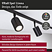 Paulmann Wand- & Deckenspot Urail Spot Lirena (Ø x H: 6 cm x 17 mm, GU10, Schwarz) | BAUHAUS