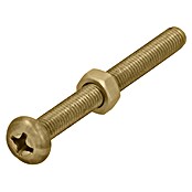 Stabilit Zylinderschraube MS (M4, Länge: 40 mm, 6 Stk., Messing)