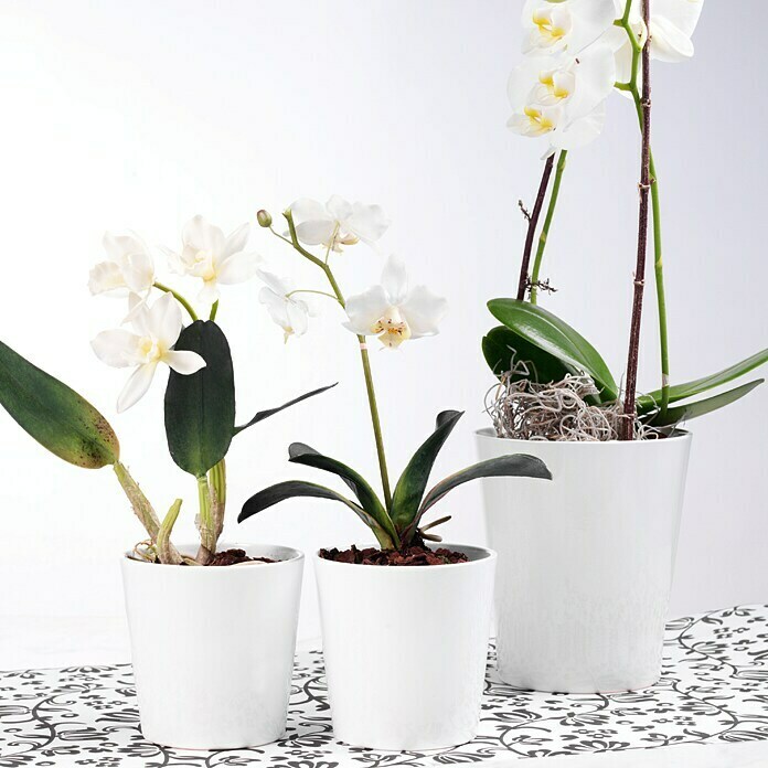 SK Vaso per orchidee Merina Pretty (Diametro: 14 cm, altezza: 15 cm,  ceramica, bianco)