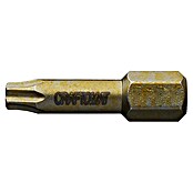 Craftomat Bit Wood (TX 25, 25 mm, 2-tlg.)