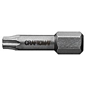Craftomat Bit Metaal (TX 20, 25 mm, 2-delig)
