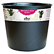 Elho Brussels Diamond Vložek za lonec za rastline Easy Insert  (Zunanje dimenzije (Ø x V): 32 x 28 cm, Elho Brussels Diamond okrasni lonec okrogli visok) | 8441 - Übertöpfe Kunststoff | IAKA - Gefäße Indoor | IAK - Gefässe,Deko outdoor, Zeitschriften | IA - Gartenhartware | I - Stadtgarten | BAUHAUS