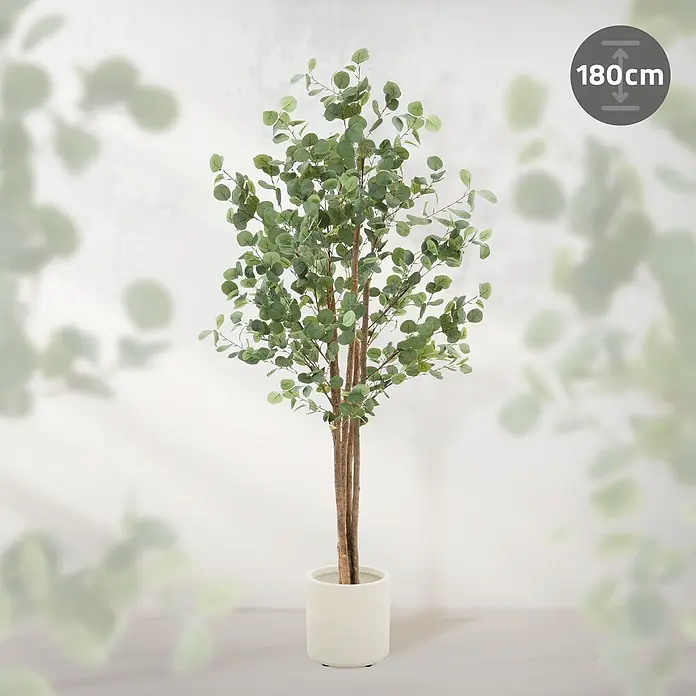 ML-Design Kunstpflanze Kunstbaum Eukalyptus für Innen & Außen mit Echtem Moos & Echtholzstamm - Blütenfarbe: Grün, Holz - 180 cm großer künstlicher Eukalyptusbaum in weißem Topf mit grünen Blättern und braunen Stämmen.