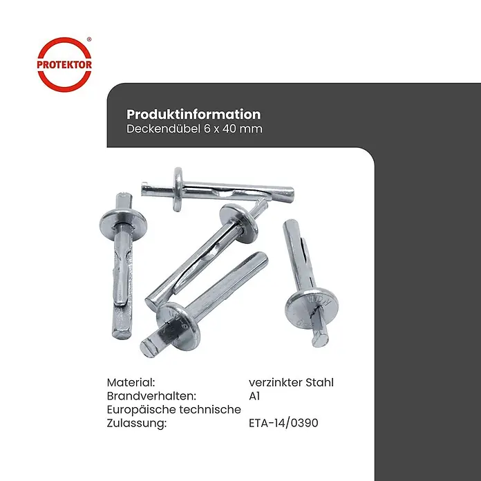 Protektor Montagezubehör für Trockenbau 100x Deckennagel 6mm x 40mm A1 Silber -  - Mehrere verzinkte Stahldübel (6 x 40 mm) mit flachem Kopf und Spreizschaft.