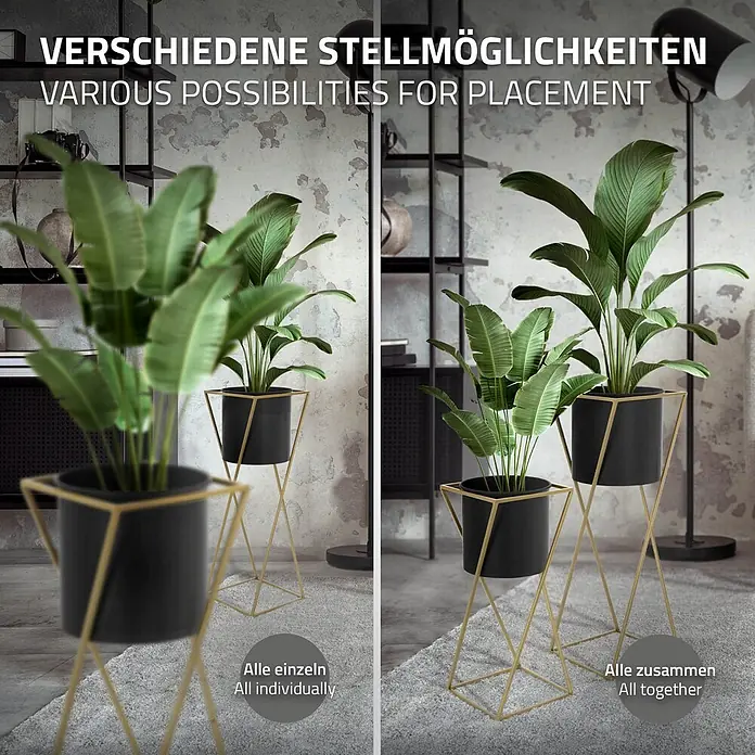 Blumenständer 2er Set Schwarz-Gold 21x21x51 cm/24x24x70,5 cm aus Stahl -  - Zwei schwarze Blumentöpfe in goldenen Metallständern, einzeln und zusammen zur Veranschaulichung verschiedener Stellmöglichkeiten.