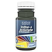 Schöner Wohnen Vollton- & Abtönfarbe (Anthrazitgrau, 125 ml, Matt)