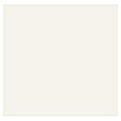 swingcolor Bodenmarkierungsfarbe (Weiß, 2,5 l, Matt, Lösemittelbasiert)