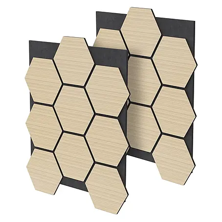 ML-Design  Akustikpaneel 2er Set für 1m², Hexagon Wandplatten zur Schalldämmung