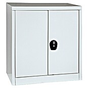 Regalux Metallschrank (41 x 80 x 90 cm, Traglast: 50 kg/Boden)