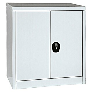 Regalux Metallschrank (L x B x H: 41 x 80 x 90 cm, Grau, Traglast Einlegeboden: 50 kg)
