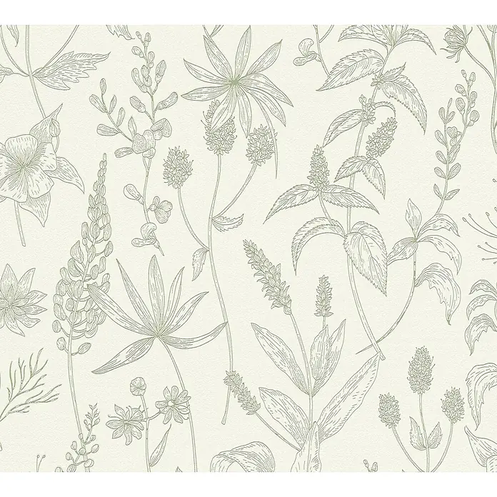 Tadessi Vliestapete M1-No.11447 - Weiß, Floral - Hellgrünes botanisches Strichmuster mit verschiedenen Wildkräutern und Blumen.