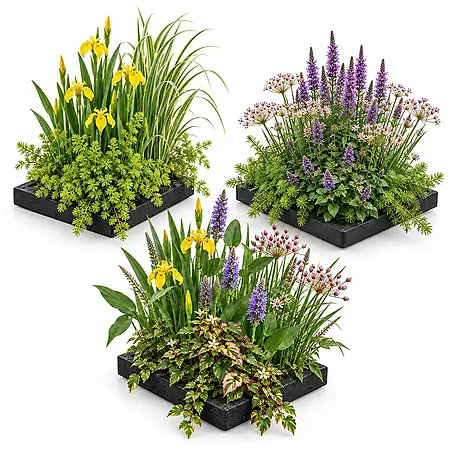 Vdvelde  Wasserpflanzen-Mix