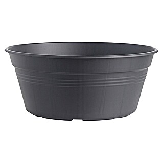 Elho Green Basics Okrogel lonec za rastline (Zunanje dimenzije (Ø x V): 33 x 14 cm, Plastika, Črne barve)