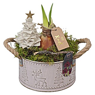Adventsarrangement Winter Nr. 3 (Durchmesser: 16 cm)