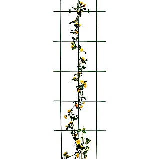 Bellissa Wandspalier (45 x 150 cm, Materialstärke: 5 mm, Anzahl Streben: 3 Stk., Grün)
