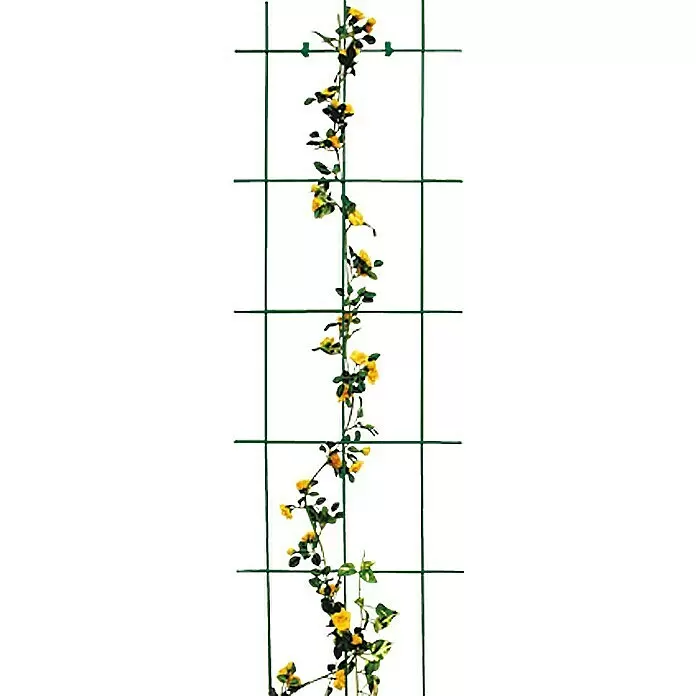 Bellissa Wandspalier - 45 x 150 cm, Materialstärke: 5 mm, Anzahl Streben: 3 Stk., Grün - Stimmungsaufnahme