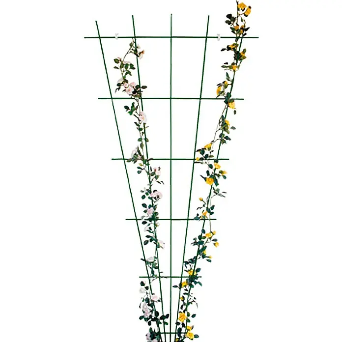 Bellissa Rosenspalier - Grün, B x H: 72 x 150 cm - Eine grüne Pflanzenstütze mit zarten Kletterrosen in Gelb- und Rosatönen, die sich an dem Spalier emporranken.