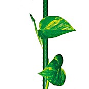 Bellissa Štap za biljke (Duljina: 1.200 mm, Promjer: 11 mm, Metal)