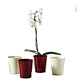 SK Orchideentopf Merina (Ø x H: 14 x 15 cm, Vanilla, Glänzend)