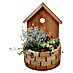 Piardino Pflanzenarrangement 