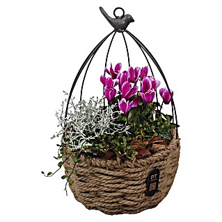 Piardino Pflanzenarrangement Nr. 47 (Topfgröße: 20 cm)