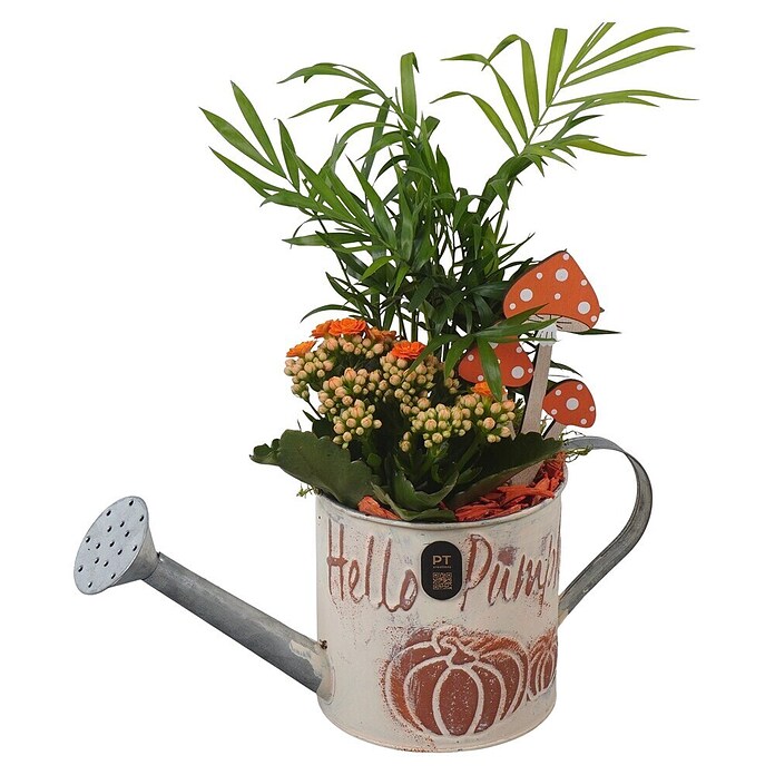 Arrangement Indoor Maritim Nr. 3 18