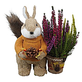 Piardino Pflanzenarrangement Nr. 26 (Topfgröße: 23 cm)