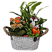 Arrangement Indoor Winter Nr. 1 0