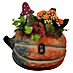 Piardino Zimmerpflanzen-Arrangement Nr. 34 