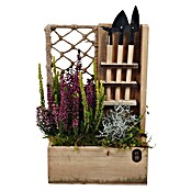 Piardino Pflanzenarrangement Nr. 38 (Topfgröße: 30 cm) | BAUHAUS