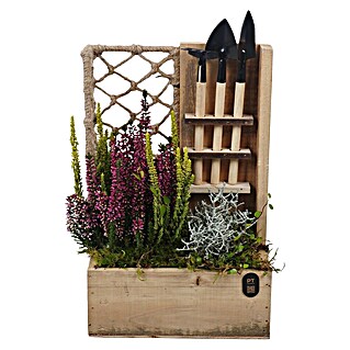 Piardino Pflanzenarrangement Nr. 38 (Topfgröße: 30 cm)
