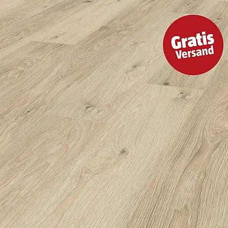 LOGOCLIC  Laminat Eiche Cosmo