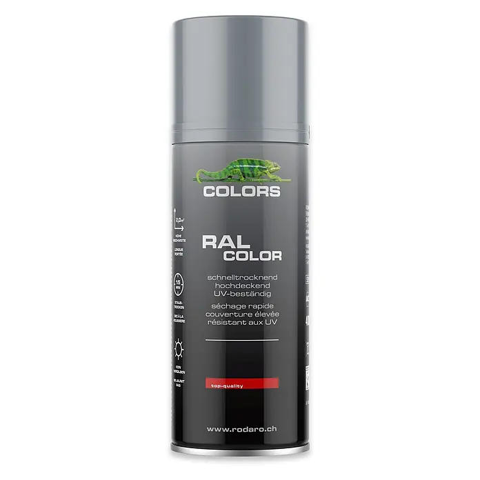 COLORS Sprühlack 400ml RAL7001 Silbergrau Glanz - 