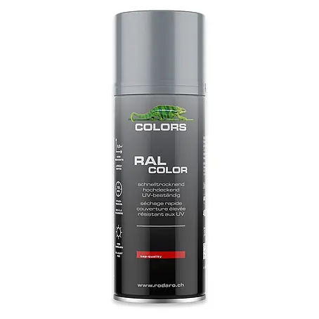 COLORS Sprühlack 400ml RAL7001 Silbergrau Glanz