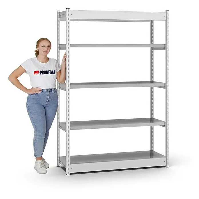 Proregal Schwerlastregal MAGNUS Vierkant-Profil Stecksystem - H x B x T: 200 x 132,5 x 40 cm, Traglast pro Boden: 200 kg, Anzahl Böden: 5 Stk., Stecken, Lichtgrau/Verzinkt - Graues Metallregal mit fünf Ablagen, gezeigt mit einer Person zur Größenreferenz.