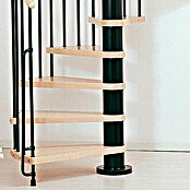 Fontanot Arké Escalera de caracol Klan (Diámetro: 120 cm, Negro, Color peldaños: Haya clara, Altura de planta: 253 - 306 cm)