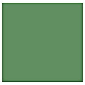 Dupli-Color Color Lackspray RAL 6011 (Resedagrün, Glänzend, 400 ml)