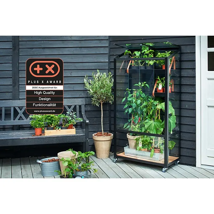 Juliana Gewächshaus City Greenhouse - Außenmaß inkl. Dachüberstand (B x T): 80 x 40 cm, Material Seitenwand: Glas, 4 mm, Schwarz - Schwarz umrahmtes Glas-Minigewächshaus auf Rädern, gefüllt mit verschiedenen Pflanzen, auf einer Holzterrasse.