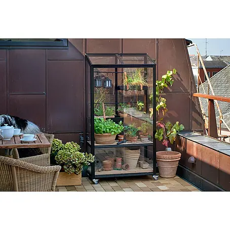 Juliana  Gewächshaus City Greenhouse