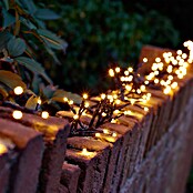 LED-Clusterlichterkette (Außen, Lichtfarbe: Warmweiß, Anzahl Leuchtmittel: 400 Stk., Netzbetrieben) | BAUHAUS