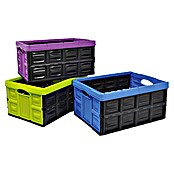 Caja plegable (53 x 40 x 26 cm, 45 l)