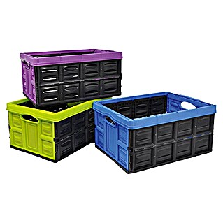 Caja plegable (L x An x Al: 53 x 40 x 26 cm, 45 l)