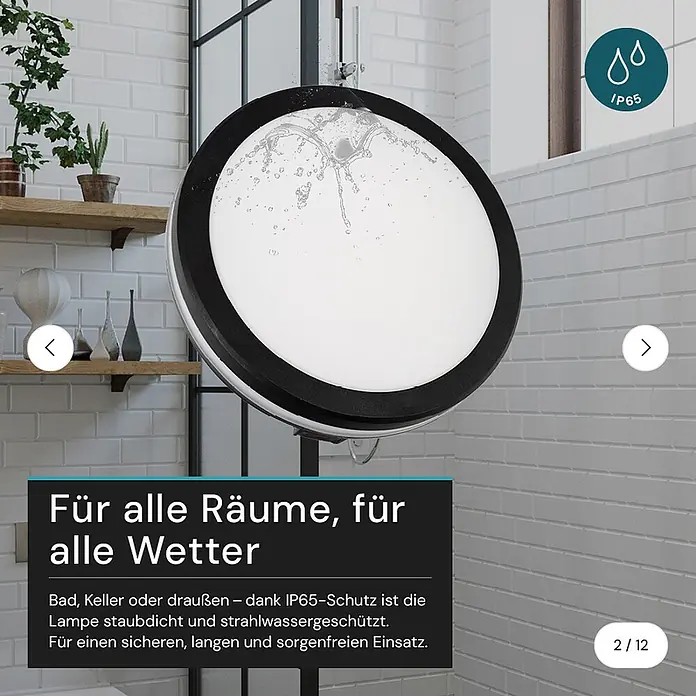 Luxula LED-Deckenleuchte rund - 20 W, Schwarz, Mehrfarbig - Rundes, schwarz-weißes, wasserdichtes Licht mit spritzendem Wasser.