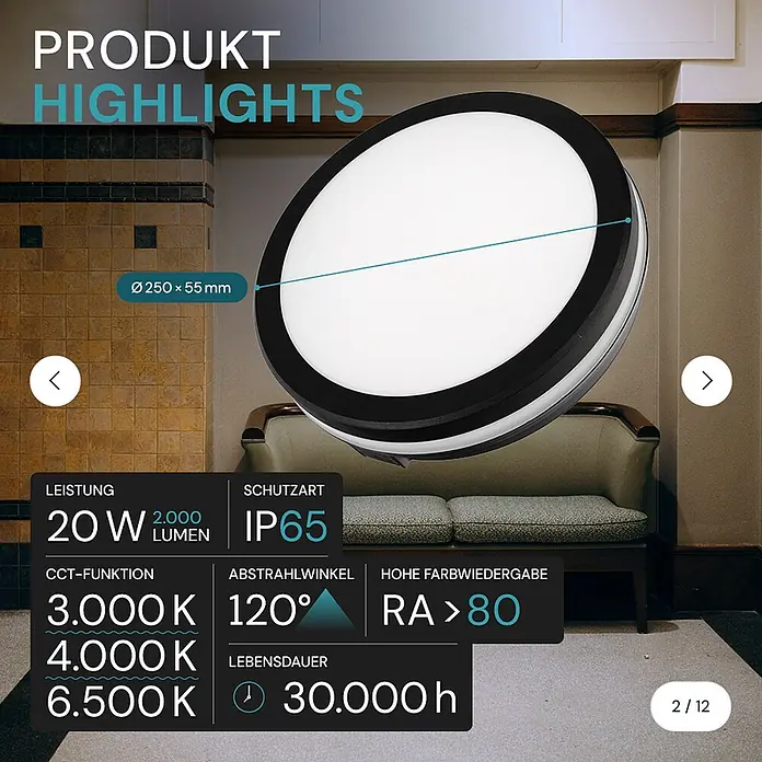 Luxula LED-Deckenleuchte rund - 20 W, Schwarz, Mehrfarbig - Ein rundes LED-Lichtpanel mit schwarzem Rand und weißem Diffusor, dazu technische Spezifikationen.