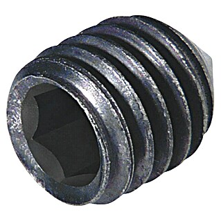 Tornillo prisionero (M 5, Largo: 10 mm, 6 ud.)