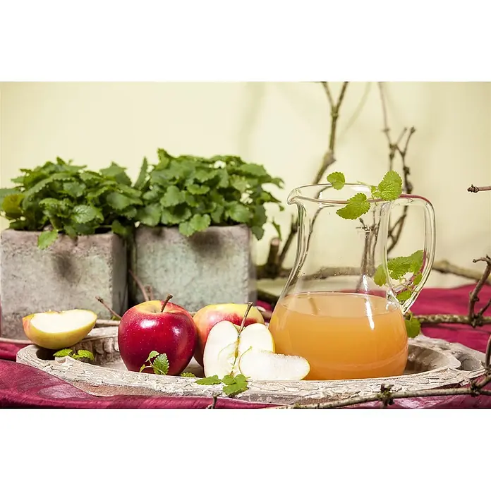 Pflanzen für dich Obstbaum Apfel 'Elstar' 140-175 cm, 7,5 Liter - Malus 'Elstar' - Eine Glaskaraffe mit Apfelsaft, umgeben von frischen roten und gelben Äpfeln, mit Minzblättern auf einem rustikalen Holztablett.