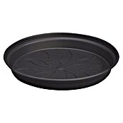 Elho Green Basics Plato para maceta (Ø x Al: 10 x 1 cm, Negro)