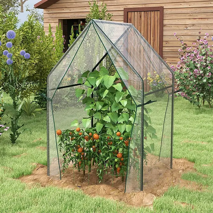 Furnicato Gewächshaus - 90 x 145 cm, Material Seitenwand: Stahl, 14 mm, silber - Ein kleines, transparentes Gewächshaus mit dunkelgrünem Rahmen, in dem reife Tomatenpflanzen in einem Garten neben einem Holzschuppen stehen.