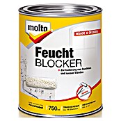 Molto Feuchtblocker (750 ml, Dose)